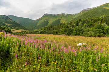 Belianske Tatry from hiking trail between Velke Biele pleso and Chata Plesnivec in Slovakia