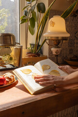 vintage kitchen interior, kitchen with antiques, hands on a book, book with herbarium, autumn mood