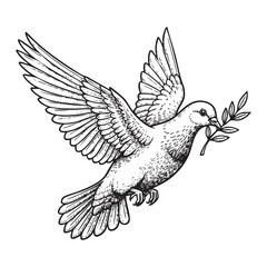 Obraz premium flying dove bird with olive branch