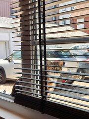 alarmed cat looks through the window shades