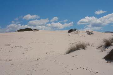 White sand dunes with dry grass under blue sky and clouds in Sardinia