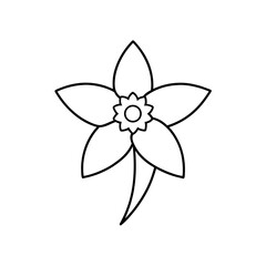 Simple outline drawing of a daffodil flower on transparent background