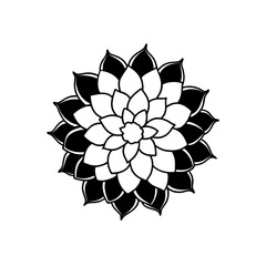 Black and white floral mandala pattern art on transparent background