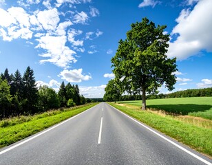 Fototapeta premium Open road through a summer landscape
