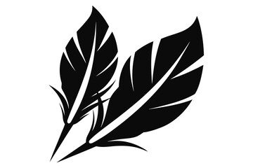 black and white feathers