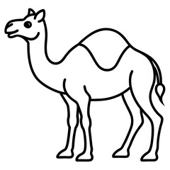 Desert Camel Line Art Vector
