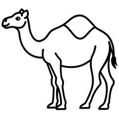 Desert Camel Line Art Vector