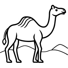 Desert Camel Line Art Vector