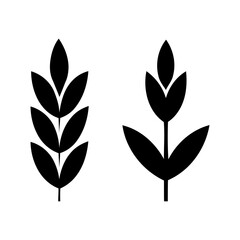 stylized black wheat stalks on white background. set of black silhouettes of leaves