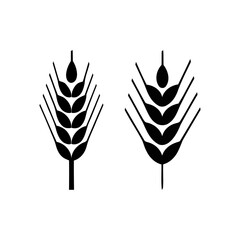wheat stalks on white background. vector illustration of a plant