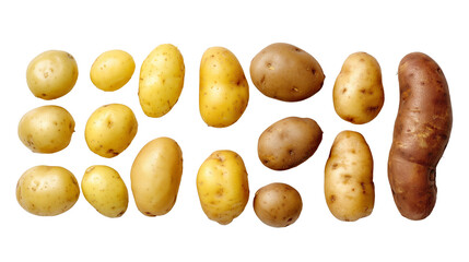 Potato Mockup