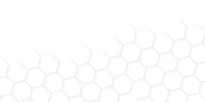 hexagon concept design abstract technology background,beautiful geometric pattern white gray hexagonal,geometric mesh cell texture. modern futuristic wallpaper.