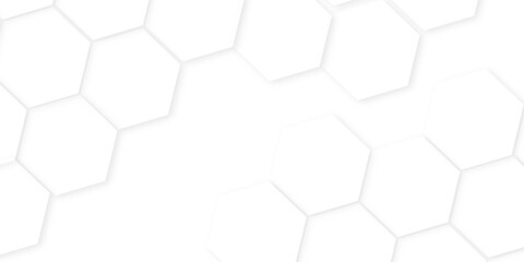 hexagon concept design abstract technology background,beautiful geometric pattern white gray hexagonal,geometric mesh cell texture. modern futuristic wallpaper.