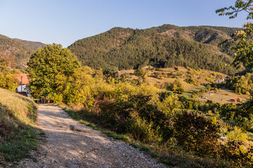 Fototapety na wymiar - Fototapeta24.pl