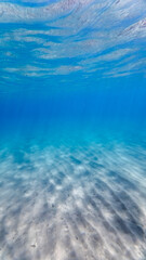 Underwater background deep blue sea from Spain, Costa Brava, Palamos