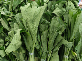 Obraz premium A detailed close-up of a large pile of fresh green mustard greens. The vibrant, leafy vegetables are bundled together, creating a healthy and natural texture that appears ready for market or cooking.