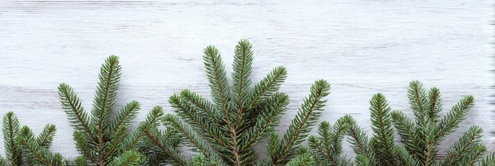 Sprightly evergreen sprigs evoke Yule log warmth, Solstice magic, and Nordic midwinter tales on a frosty wooden canvas