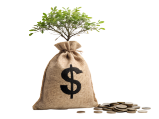 Money Bag with a Growing Tree on a Transparent Background