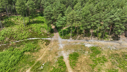 Aerial view of country and woodland path