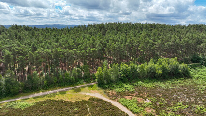 Aerial view of country and woodland path