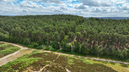Aerial view of country and woodland path