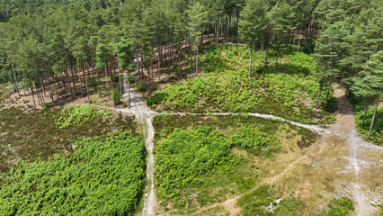 Aerial view of country and woodland path