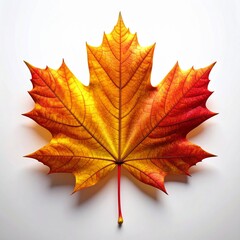 Close-up of a vibrant autumn maple leaf with red, orange, and yellow tones, symbolizing the beauty and colors of the fall season