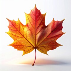 Close-up of a vibrant autumn maple leaf with red, orange, and yellow tones, symbolizing the beauty and colors of the fall season