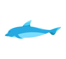 Dolphin vector illustration