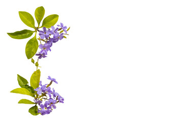 little purple flowers arrangement flat lay postcard style 