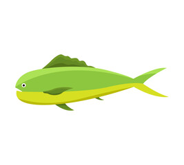 Green sunfish vector illustration