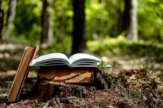 Old book lying on tree stump with blurred forest trees in background. Open book with old paper pages. Concept of knowledge, wisdom, fairy tales