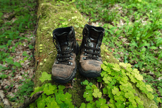 Pair of leather brown trekking shoes on blurred background of green forest. Close up of hiking boots on wood log covered with moss. Outdoor adventure concept	