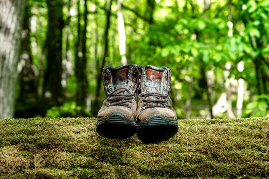 Pair of leather brown trekking shoes on blurred background of green forest. Close up of hiking boots on wood log covered with moss. Outdoor adventure concept	 - Powered by Adobe