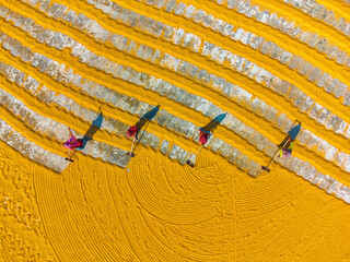 Joypurhat, Bangladesh - 10 December 2022: Aerial view of workers raking golden grain across vast fields, their long shadows stretching like dark fingers over the textured landscape.