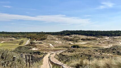 Beautiful nature of the green and sand coloured dune landscape in Noordwijk aan Zee outdoor at daytime during summer in The Netherlands with space for text.