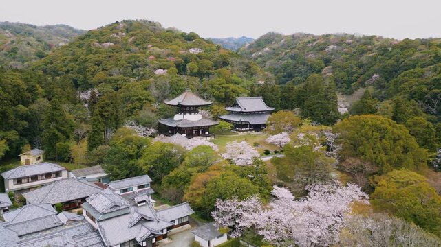 「春の根來寺(ねごろじ)」空撮 和歌山県岩出市 Spring at Negoro-ji Temple &ndash; Aerial View in Iwade, Wakayama, Japan