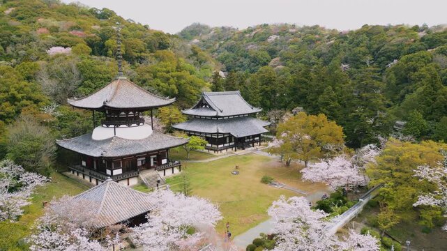「春の根來寺(ねごろじ)」空撮　和歌山県岩出市  Spring at Negoro-ji Temple &ndash; Aerial View in Iwade, Wakayama, Japan