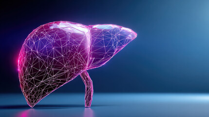 stylized polygonal liver model with wireframe overlay modern infographic aesthetic illustration concept scene visual for commercial design use high detail quality stock image illustration concept
