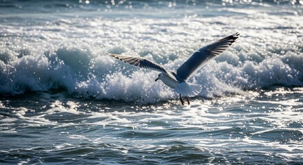 Obraz premium Seagull Flight Ocean A seagull in flight over ocean waves embodying freedom and the spirit of the sea