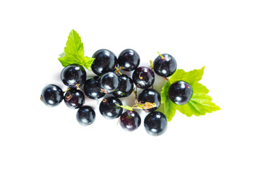 Ripe blackcurrant berries with leaves isolated on white.