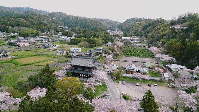 「春の根來寺(ねごろじ)」空撮 和歌山県岩出市 Spring at Negoro-ji Temple, Iwade, Wakayama Prefecture