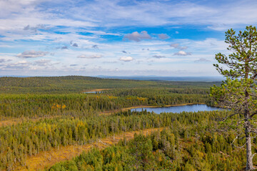Fototapeta premium autumn landscape with lake