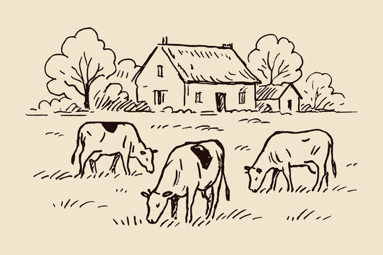 farm images drawing