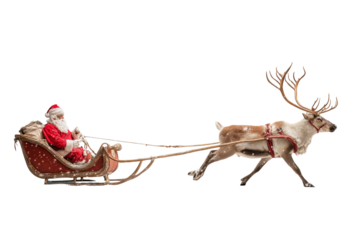 A Christmas reindeer pulling Santa’s sleigh, isolated on a transparent background.