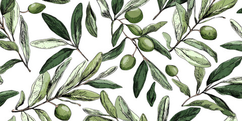 Elegant olive branch pattern with green leaves on transparency background