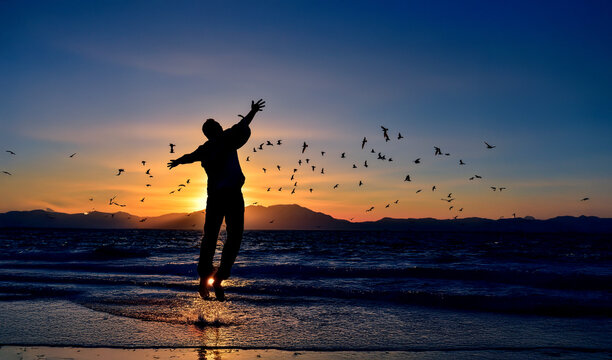 The flight of the seagulls, representatives of freedom, - Powered by Adobe