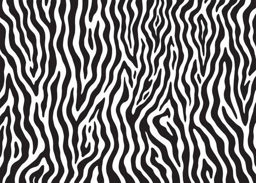 Abstract zebra animal skin pattern design. Animal print vector illustration background. Wildlife fur skin design illustration for web, home decor, fashion, surface, graphic design