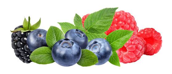 assortment of fresh mixed berries with green leaves