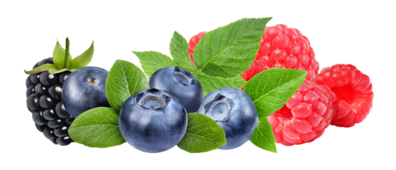assortment of fresh mixed berries with green leaves